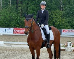dressage horse Cicerino van't Vehnemoor (Oldenburg show jumper, 2019, from Cicero Z van Paemel)
