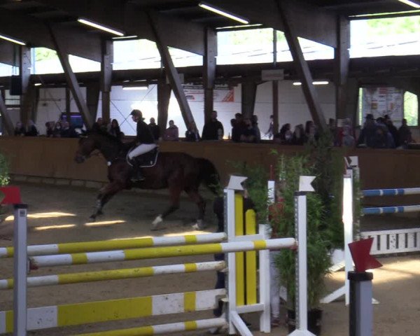 Reitturnier Steinheim 2021
