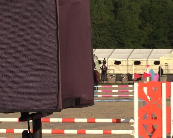 Reitturnier Weiswampach  2024