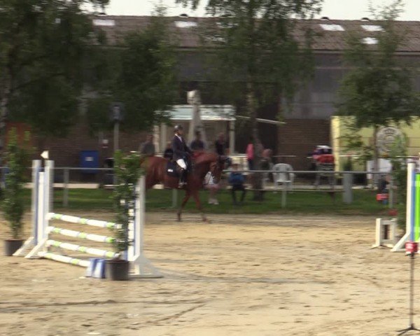 Reitturnier Herbern 2024
