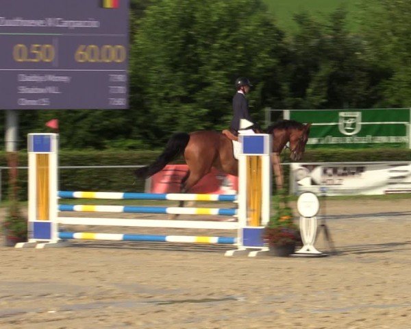 Reitturnier Weiswampach  2024