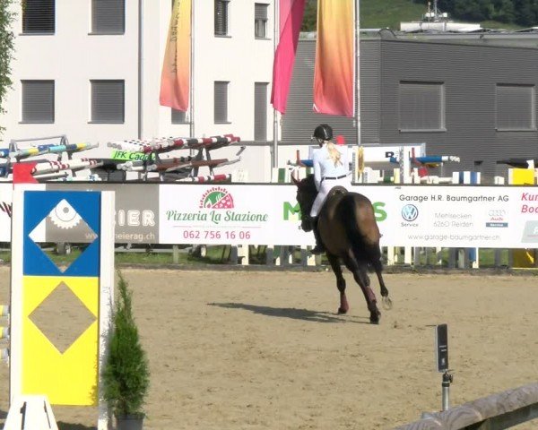 Reitturnier Dagmersellen 2024