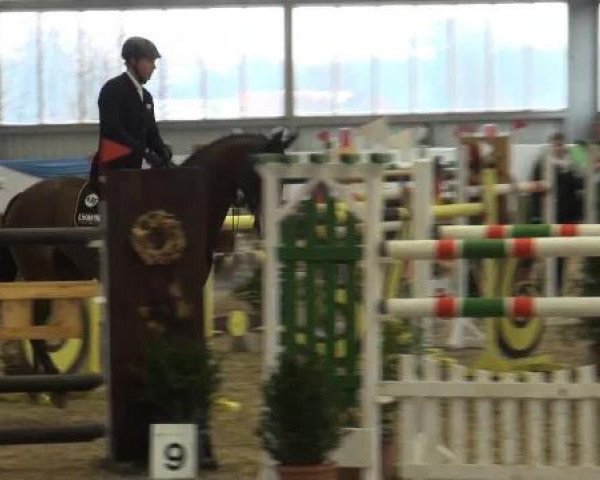 Grevener-Hallenspringturnier 2013