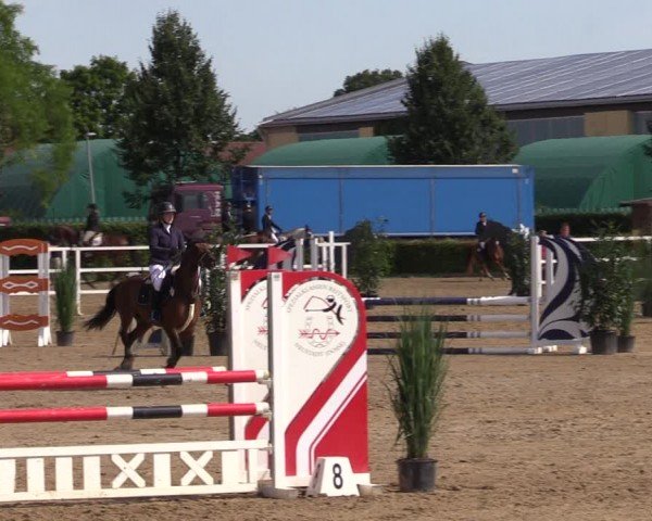 Reitturnier Neustadt/Dosse 2024