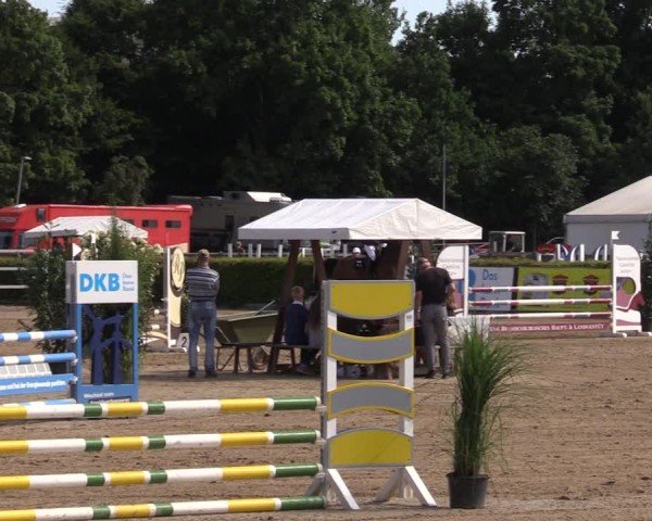 Reitturnier Neustadt/Dosse 2024