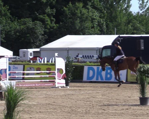 Reitturnier Neustadt/Dosse 2024