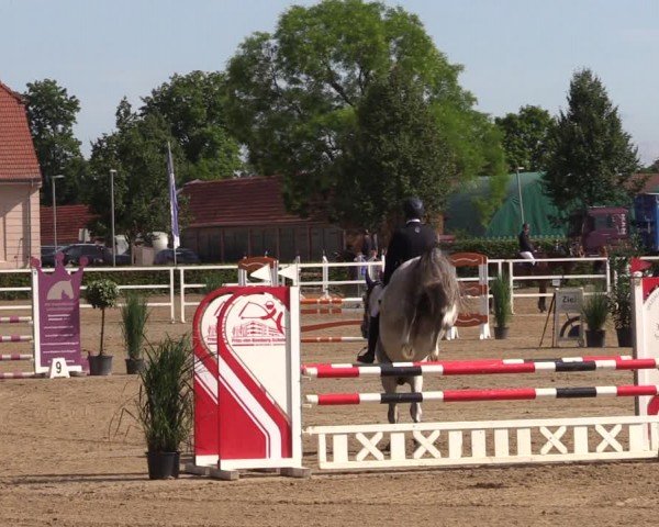 Reitturnier Neustadt/Dosse 2024