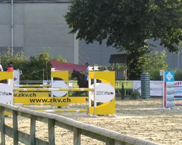 Reitturnier Dagmersellen 2024