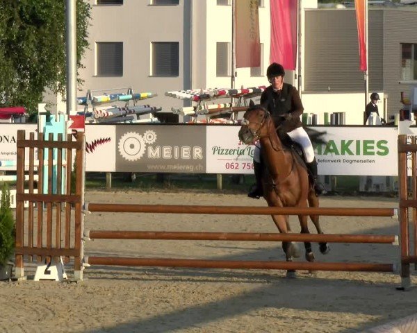 Reitturnier Dagmersellen 2024