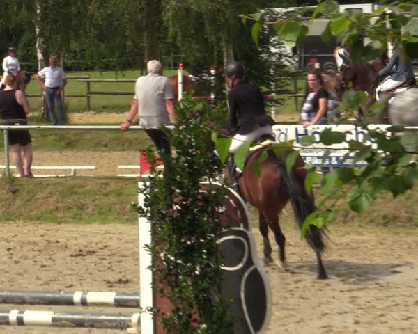 Reitturnier Herbern 2024