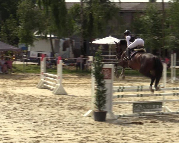 Reitturnier Herbern 2024