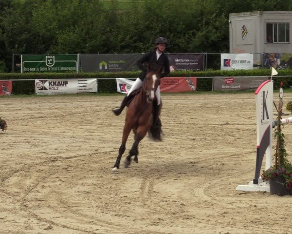 Reitturnier Weiswampach  2024