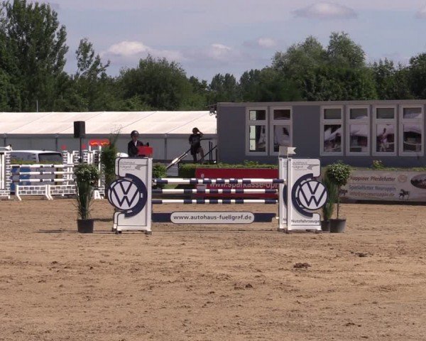 Reitturnier Neustadt/Dosse 2024