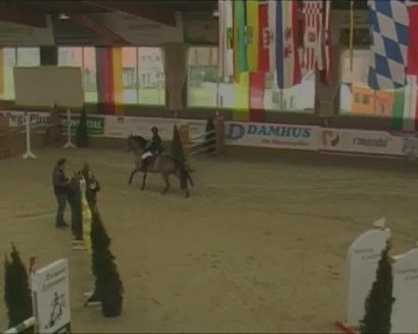 Rosendorf-Classics 2013