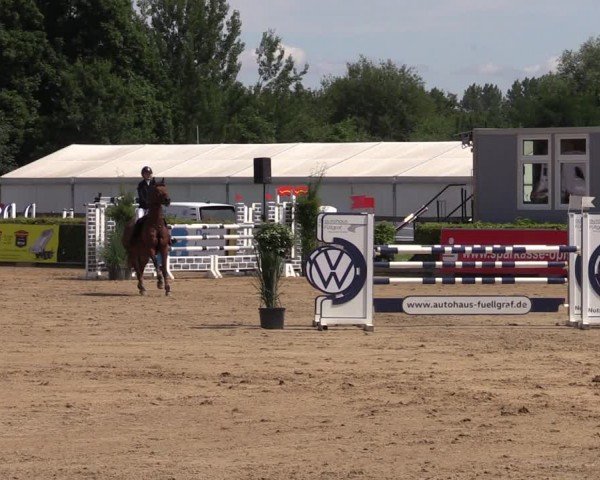 Reitturnier Neustadt/Dosse 2024