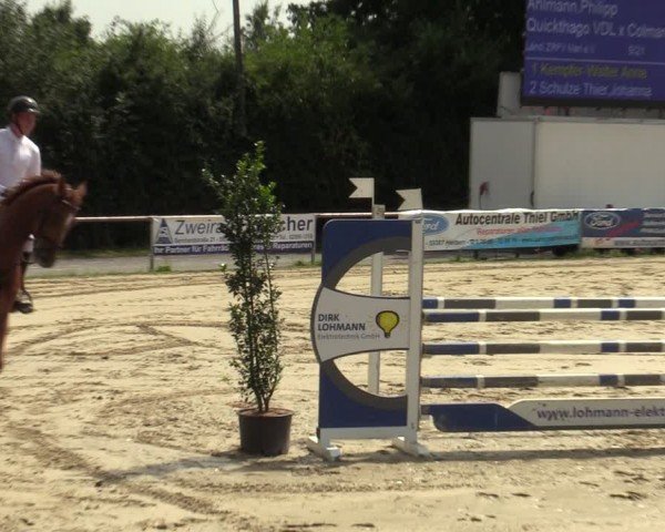 Reitturnier Herbern 2024