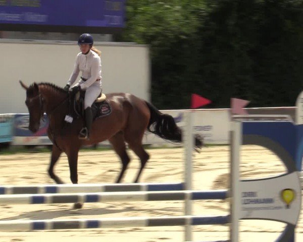 Reitturnier Herbern 2024