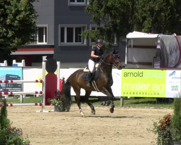 Reitturnier Dagmersellen 2024