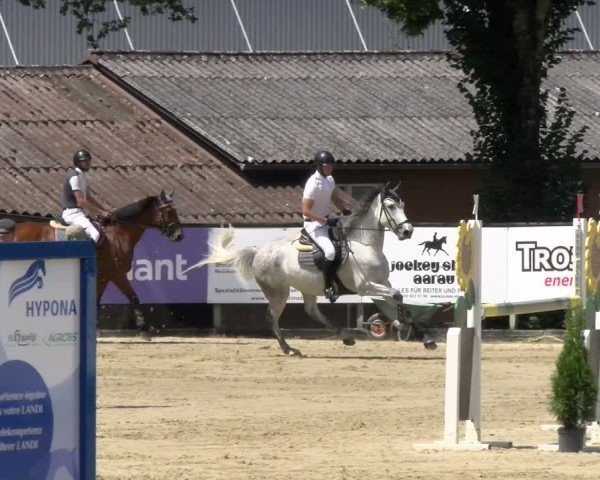 Reitturnier Dagmersellen 2024