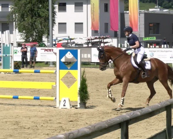 Reitturnier Dagmersellen 2024