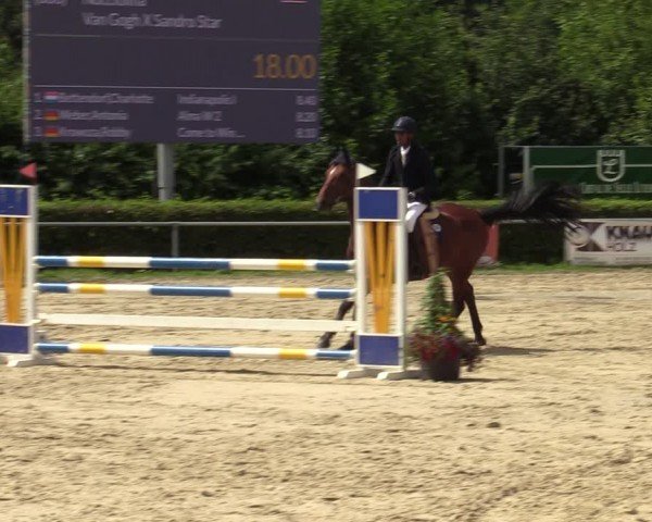 Reitturnier Weiswampach  2024