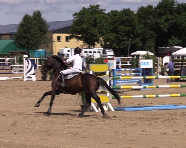 Reitturnier Neustadt/Dosse 2024