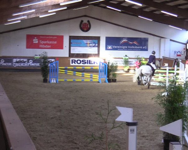 Reitturnier Steinheim 2021