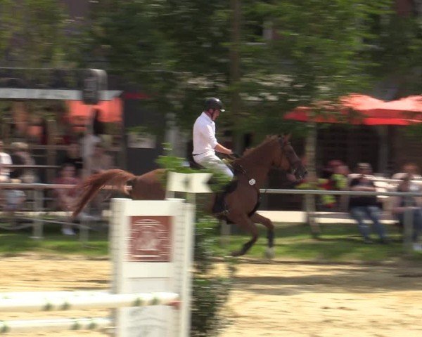 Reitturnier Herbern 2024