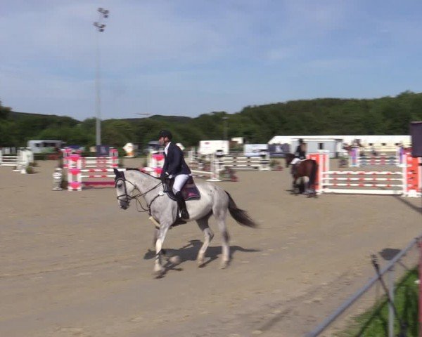 Reitturnier Weiswampach  2024