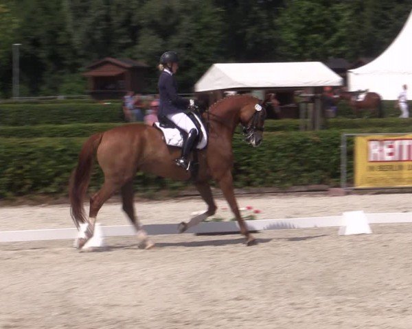 Reitturnier Neustadt/Dosse 2024