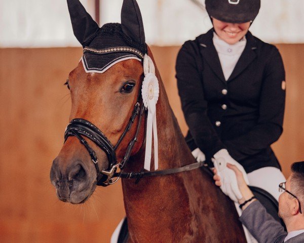 broodmare Santa Rosa 6 (Oldenburg, 2013, from San Amour I)