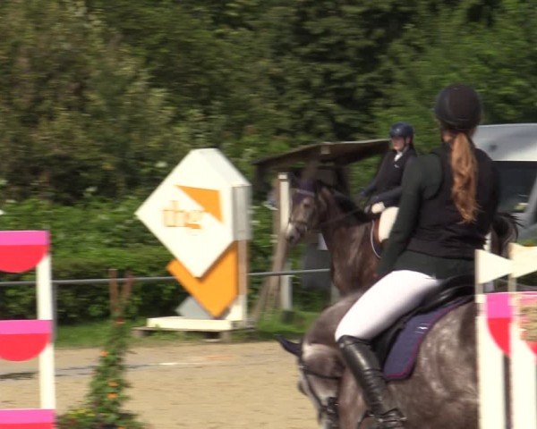 Reitturnier Weiswampach  2024