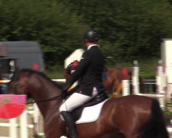 Reitturnier Weiswampach  2024