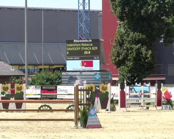 Reitturnier Dagmersellen 2024
