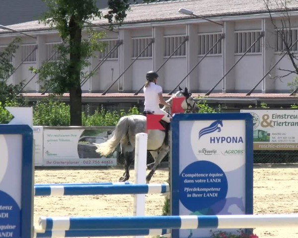 Reitturnier Dagmersellen 2024