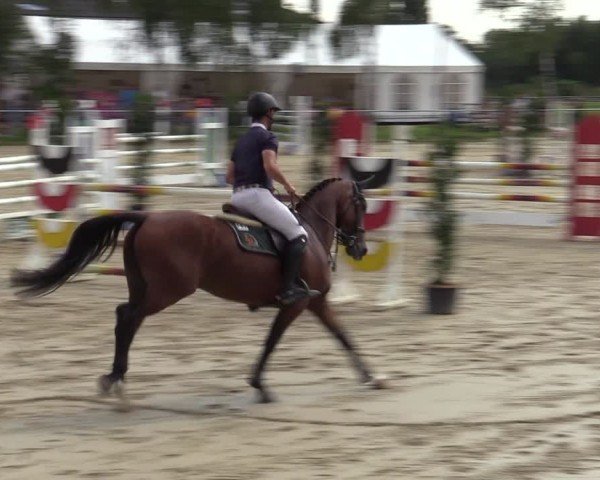 Reitturnier Herbern 2024
