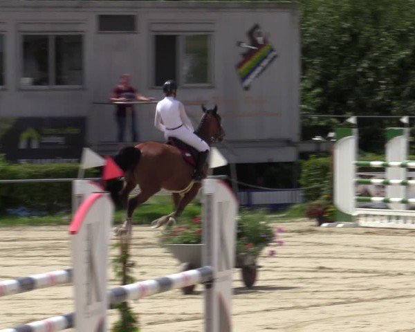 Reitturnier Weiswampach  2024