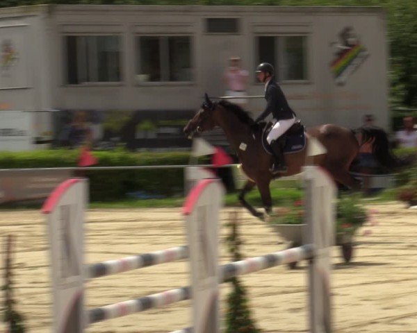 Reitturnier Weiswampach  2024