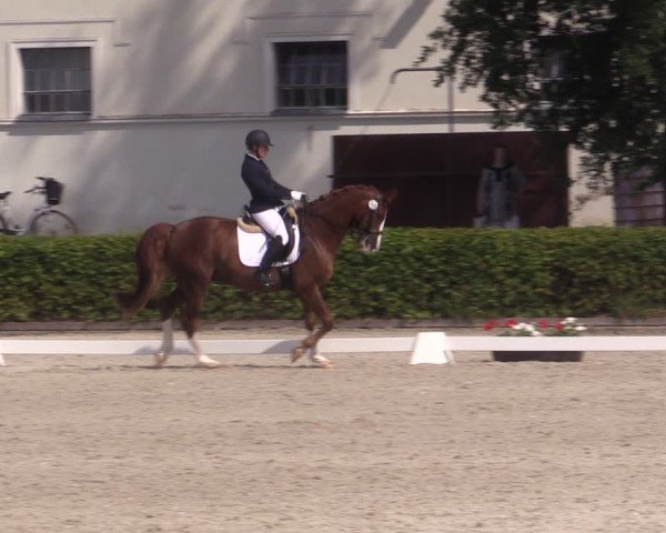 Reitturnier Neustadt/Dosse 2024