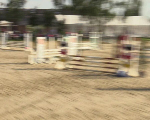 Reitturnier Herbern 2024