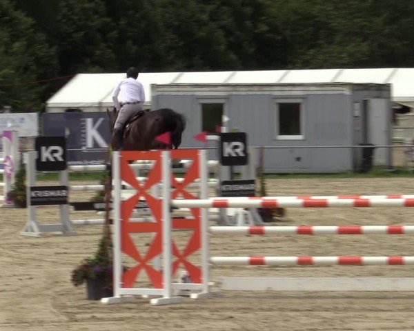 Reitturnier Weiswampach 2024