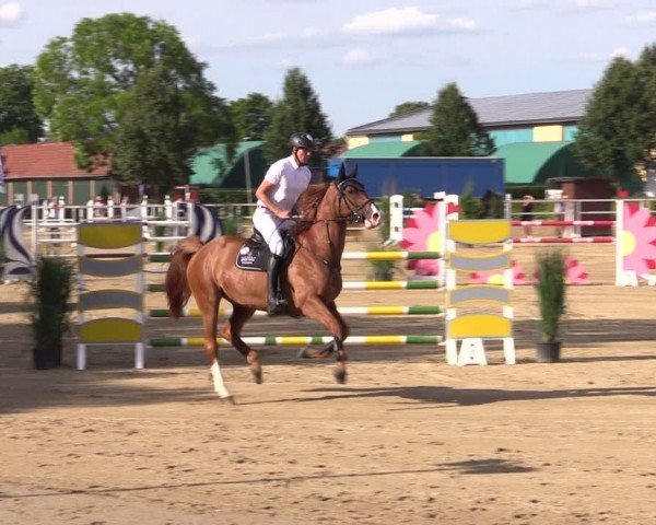 Reitturnier Neustadt/Dosse 2024