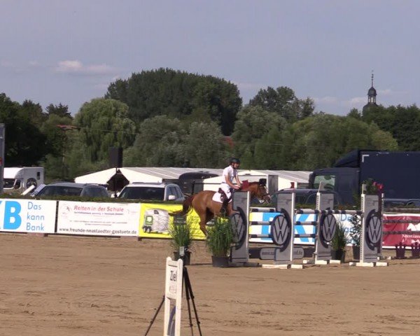 Reitturnier Neustadt/Dosse 2024