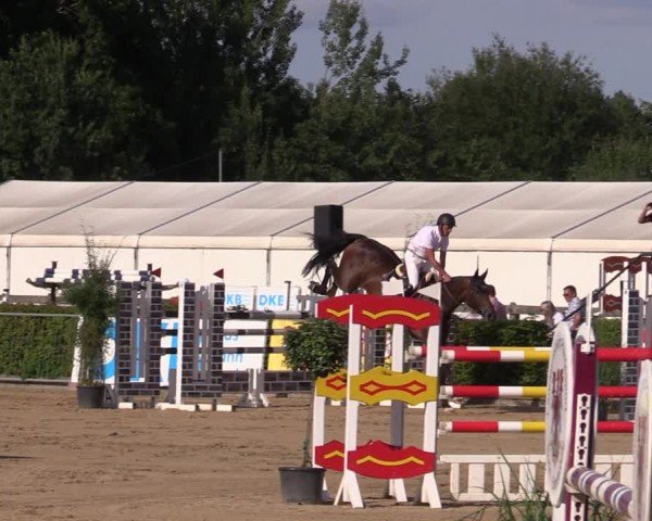 Reitturnier Neustadt/Dosse 2024