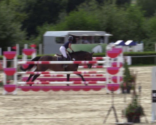 Reitturnier Weiswampach  2024