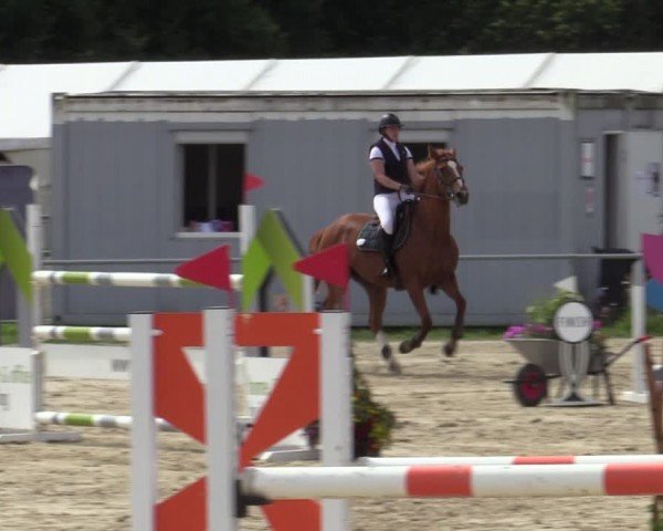 Reitturnier Weiswampach  2024