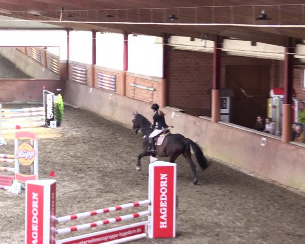Reitturnier Herzebrock-Rheda 2021