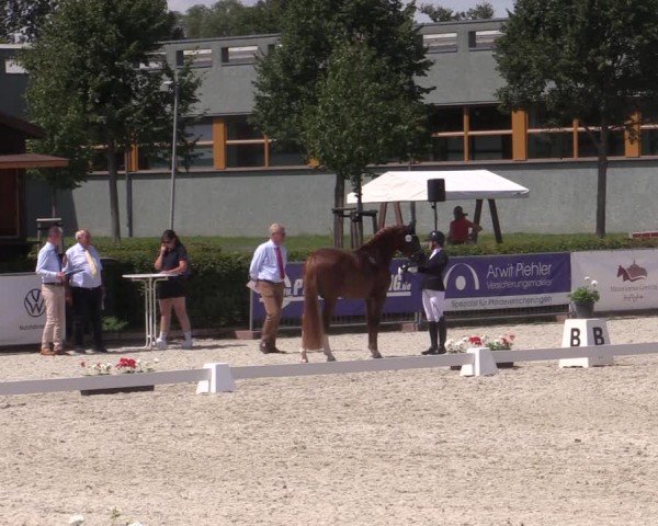 Reitturnier Neustadt/Dosse 2024