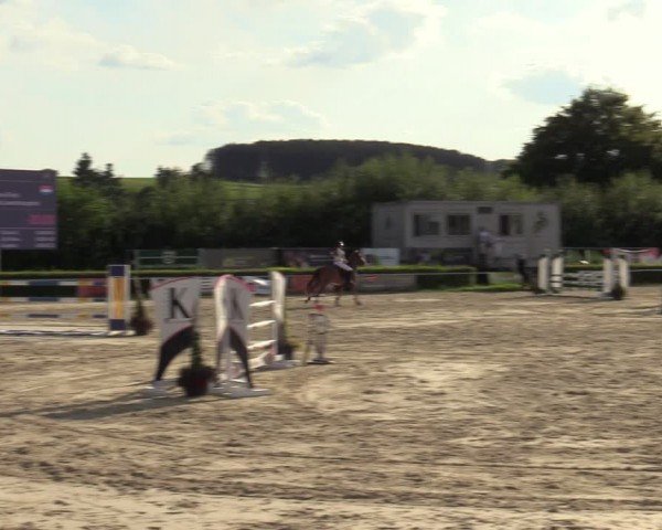 Reitturnier Weiswampach  2024