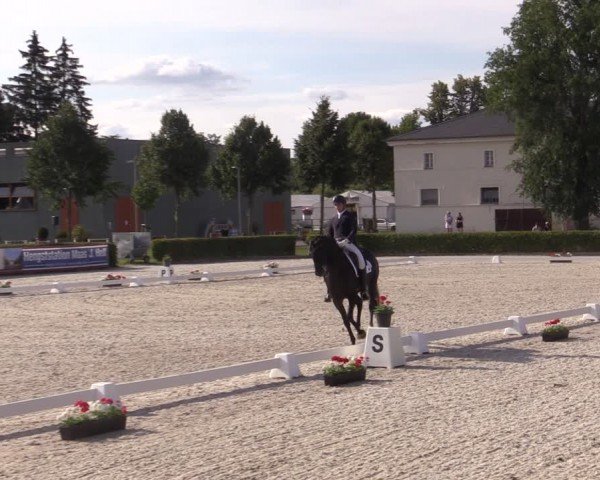 Reitturnier Neustadt/Dosse 2024